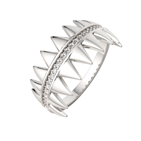 Кольцо 0210647.ZZ