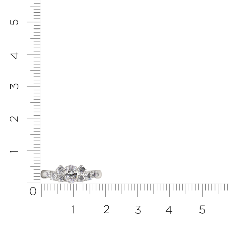 Кольцо 0210998.ZZ