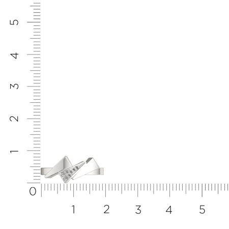 Кольцо 02101002.ZZ