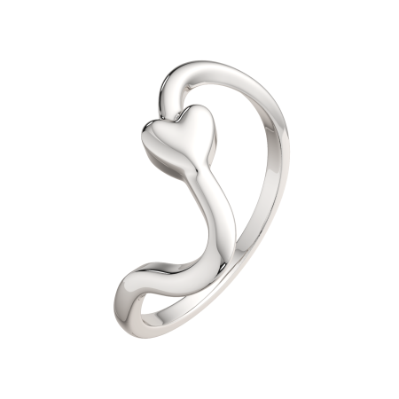 Кольцо 0200304.ZZ