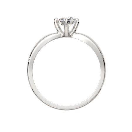 Кольцо 02101073.ZZ