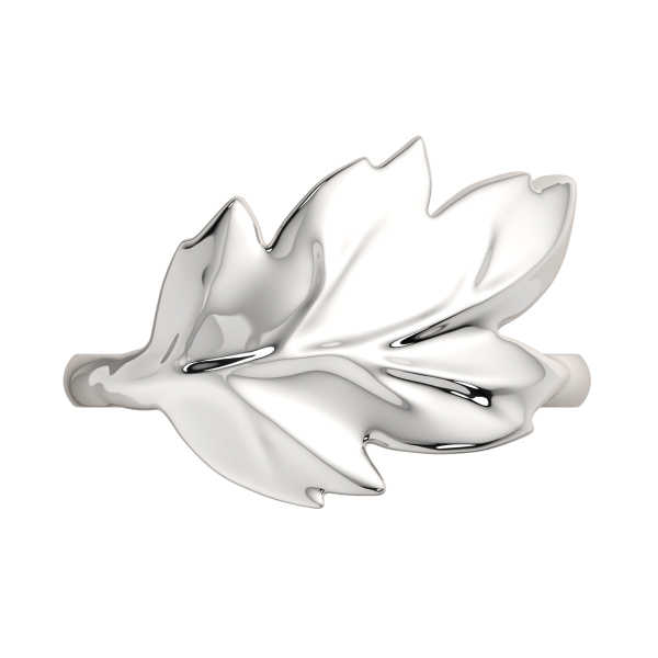 Кольцо 0200266.ZZ