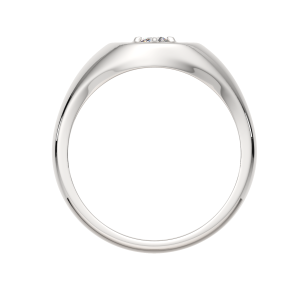 Кольцо 0210651.ZZ