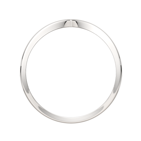 Кольцо 0200189.ZZ