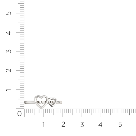 Кольцо 0200131.ZZ