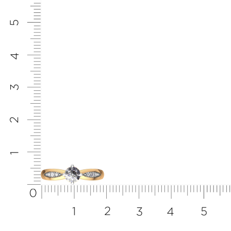 Кольцо 2101464.14K.R.ZZ