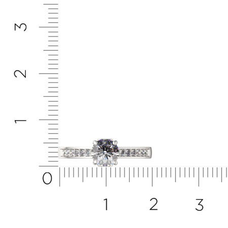 Кольцо 02101082.ZZ