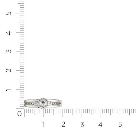 Кольцо 0210598.ZZ