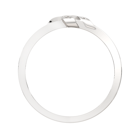 Кольцо 02101000.ZZ