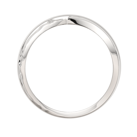 Кольцо 0200220.ZZ