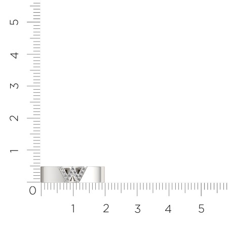 Кольцо 0210418.ZZ