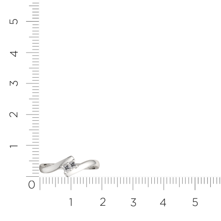 Кольцо 0210748.ZZ