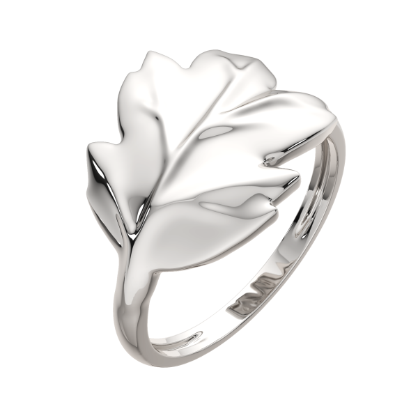 Кольцо 0200266.ZZ