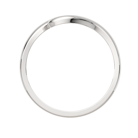 Кольцо 0200201.ZZ