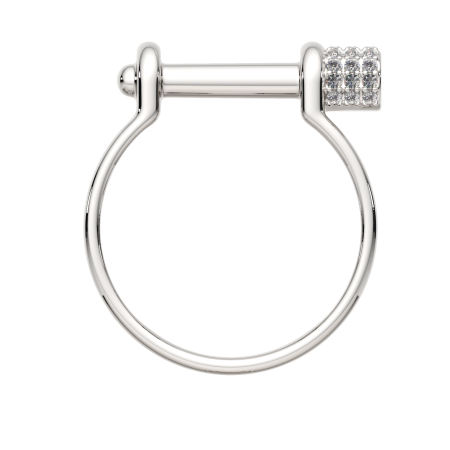 Кольцо 0210808.ZZ