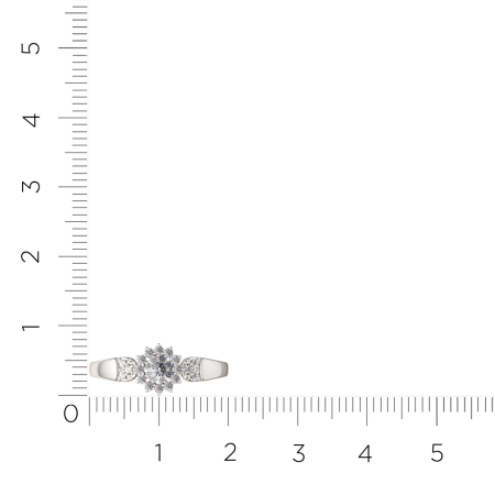 Кольцо 02101043.ZZ