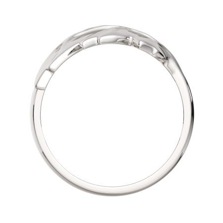 Кольцо 0200266.ZZ