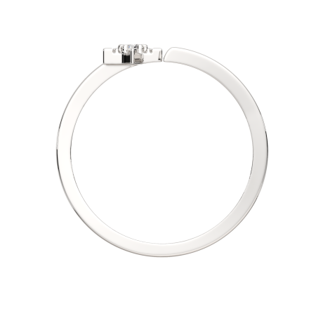 Кольцо 0210666.ZZ