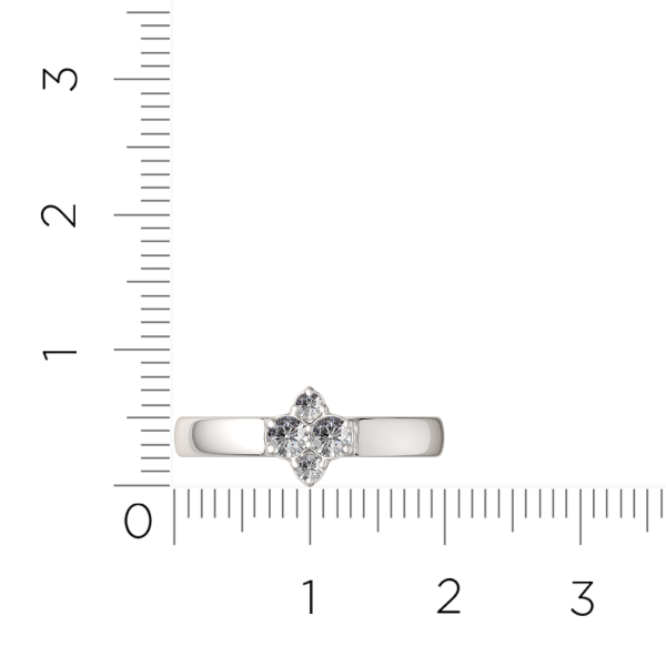 Кольцо 02101170.ZZ