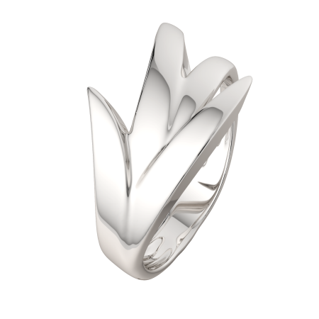 Кольцо 0200211.ZZ