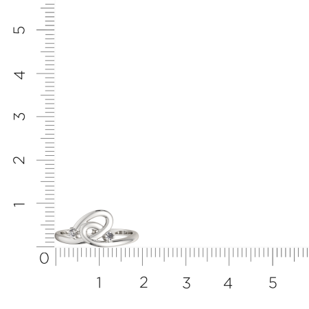 Кольцо 02101001.ZZ