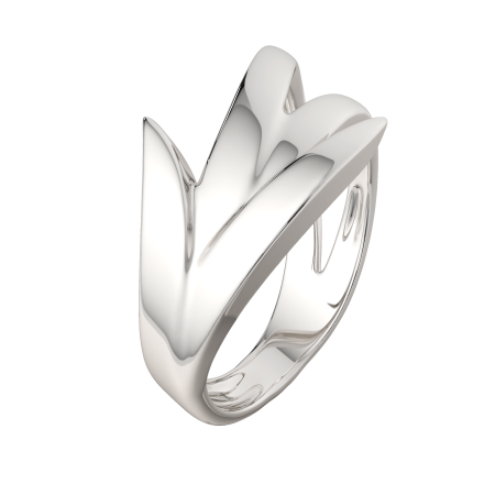 Кольцо 0200211.ZZ