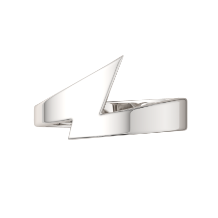 Кольцо 0200202.ZZ