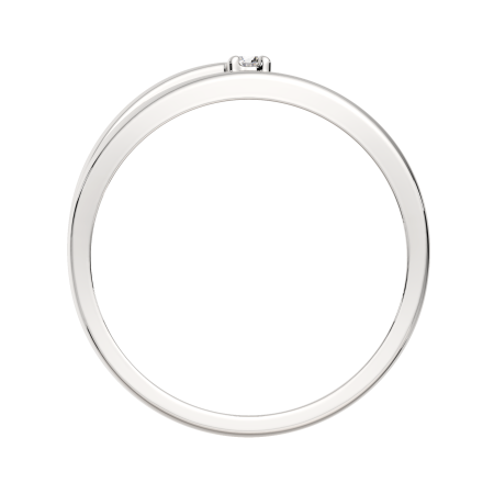 Кольцо 0210538.ZZ