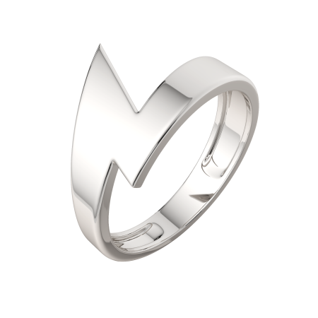 Кольцо 0200202.ZZ