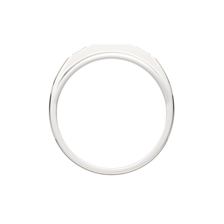 Кольцо 02101166.ZZ