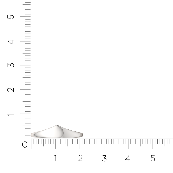 Кольцо 0200120.ZZ