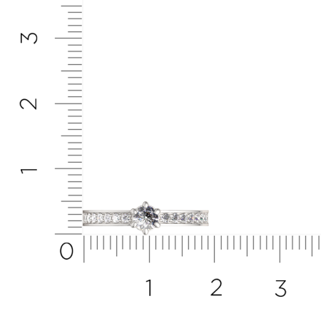 Кольцо 0210859.ZZ